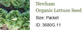 0210_20201223_1208_2021 Seed Order - Newham Lettuce Seed.jpg